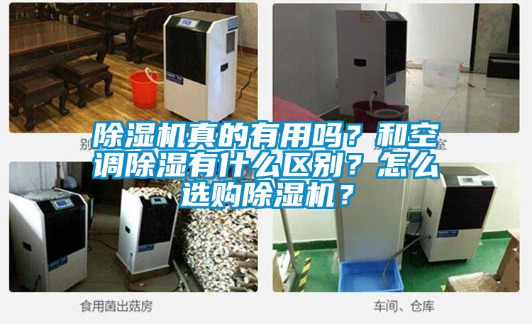 除濕機(jī)真的有用嗎？和空調(diào)除濕有什么區(qū)別？怎么選購(gòu)除濕機(jī)？