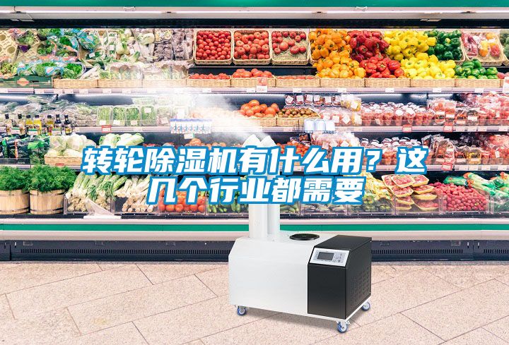 轉(zhuǎn)輪除濕機有什么用？這幾個行業(yè)都需要