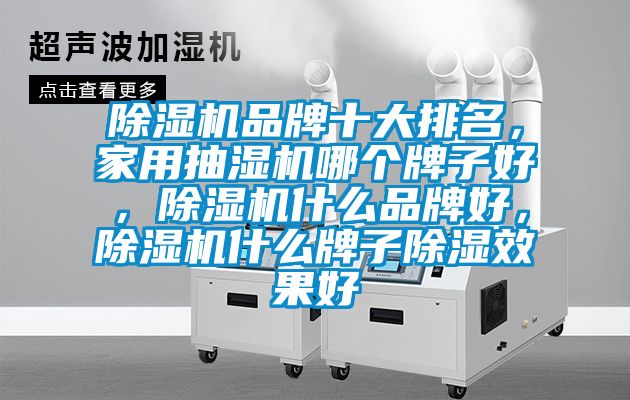 除濕機(jī)品牌十大排名，家用抽濕機(jī)哪個(gè)牌子好，除濕機(jī)什么品牌好，除濕機(jī)什么牌子除濕效果好