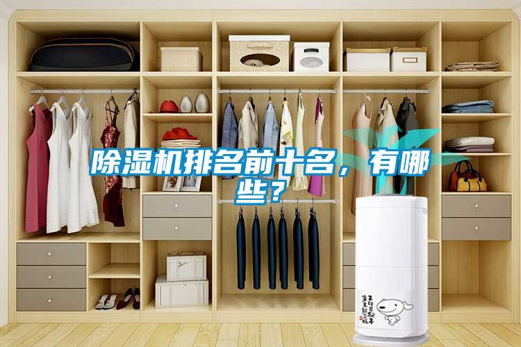 除濕機排名前十名，有哪些？
