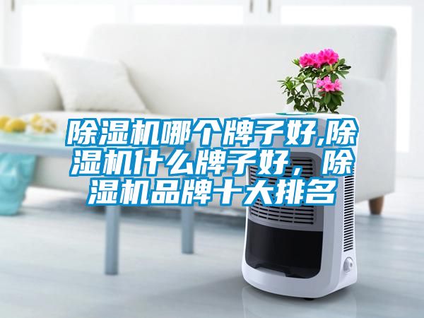 除濕機哪個牌子好,除濕機什么牌子好，除濕機品牌十大排名