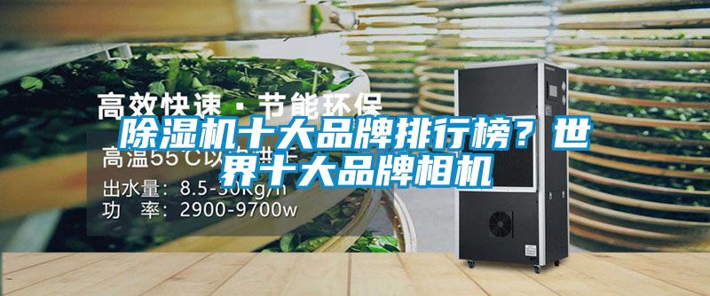 除濕機十大品牌排行榜？世界十大品牌相機