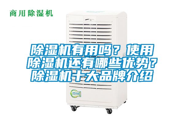 除濕機(jī)有用嗎？使用除濕機(jī)還有哪些優(yōu)勢？除濕機(jī)十大品牌介紹