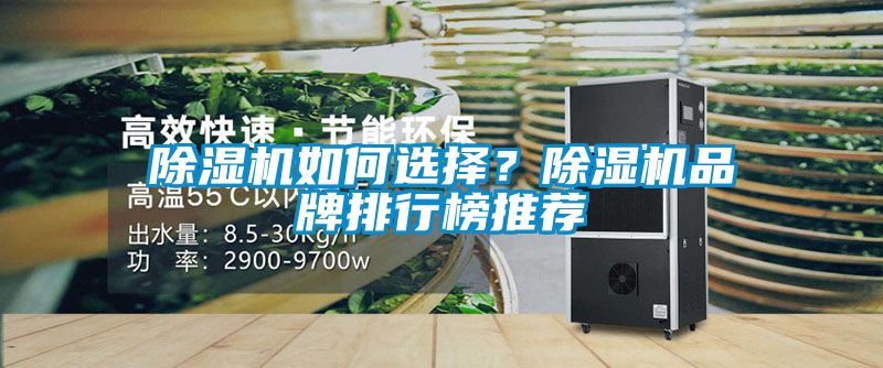 除濕機(jī)如何選擇？除濕機(jī)品牌排行榜推薦