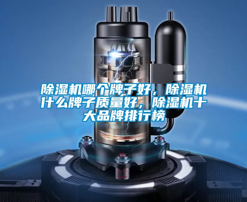除濕機(jī)哪個(gè)牌子好，除濕機(jī)什么牌子質(zhì)量好，除濕機(jī)十大品牌排行榜