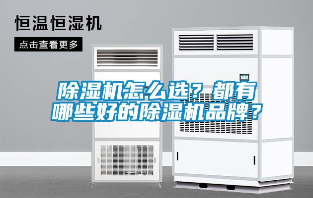 除濕機(jī)怎么選？都有哪些好的除濕機(jī)品牌？