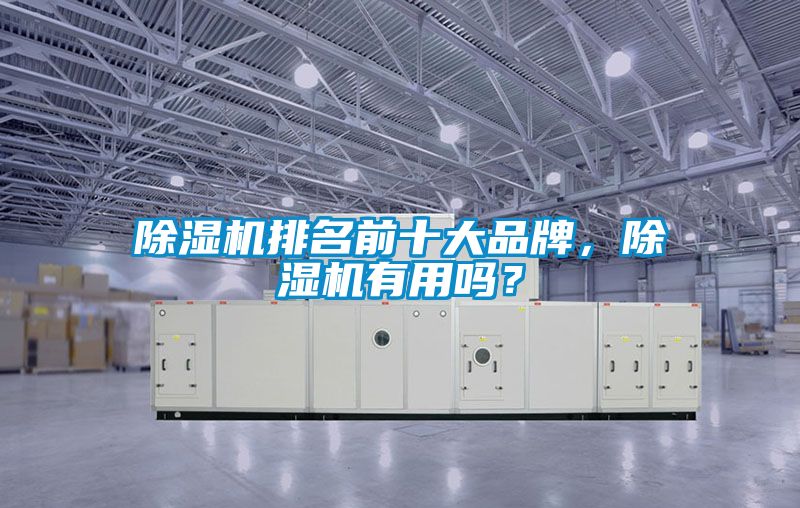 除濕機排名前十大品牌，除濕機有用嗎？