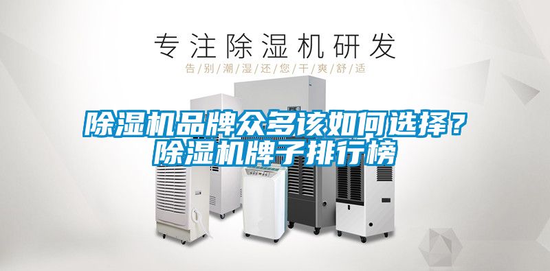 除濕機(jī)品牌眾多該如何選擇？除濕機(jī)牌子排行榜
