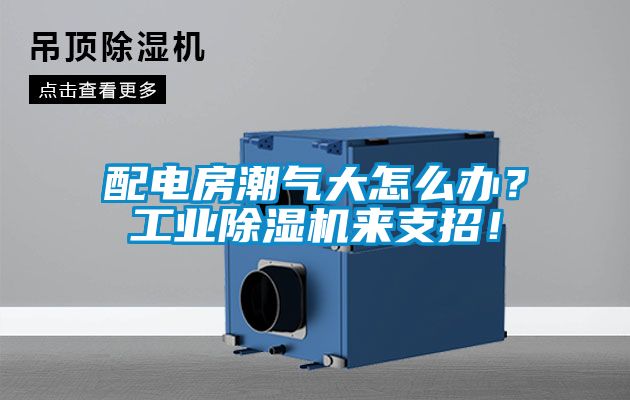 配電房潮氣大怎么辦？工業(yè)除濕機來支招！