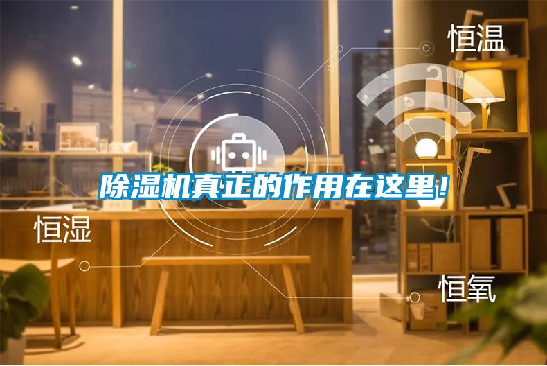 除濕機(jī)真正的作用在這里！