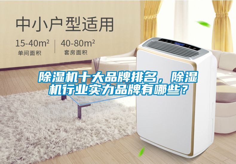 除濕機(jī)十大品牌排名，除濕機(jī)行業(yè)實(shí)力品牌有哪些？
