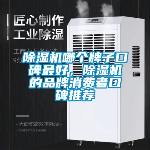 除濕機哪個牌子口碑最好，除濕機的品牌消費者口碑推薦