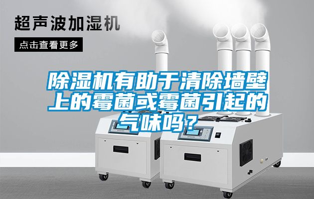 除濕機(jī)有助于清除墻壁上的霉菌或霉菌引起的氣味嗎？