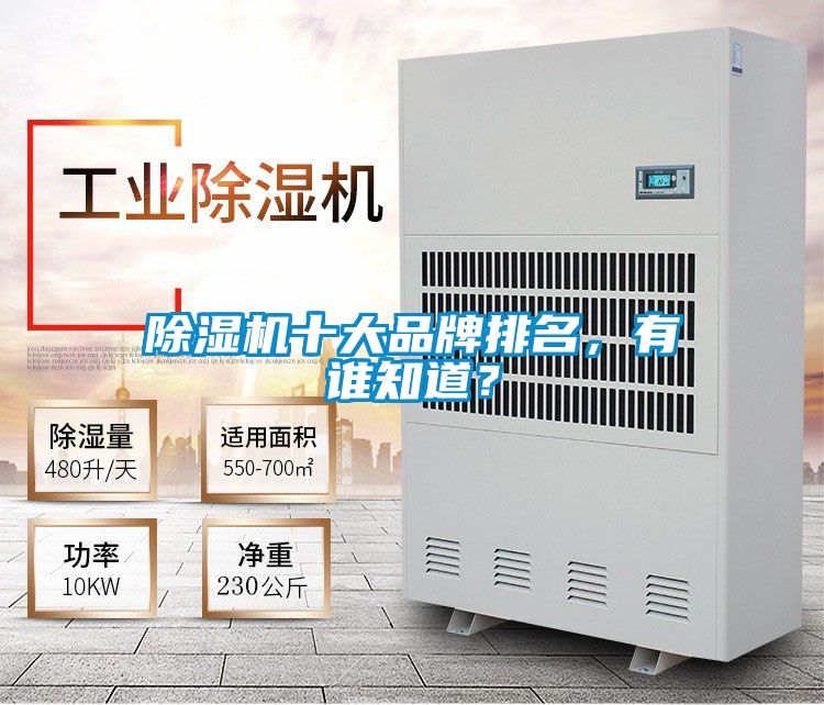 除濕機(jī)十大品牌排名，有誰知道？