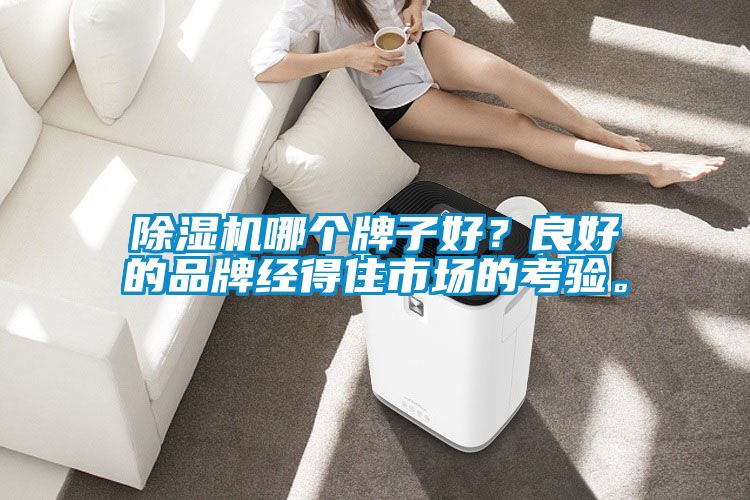 除濕機哪個牌子好？良好的品牌經得住市場的考驗。