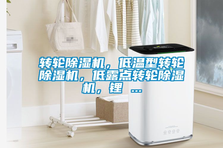 轉(zhuǎn)輪除濕機(jī)，低溫型轉(zhuǎn)輪除濕機(jī)，低露點(diǎn)轉(zhuǎn)輪除濕機(jī)，鋰 ...
