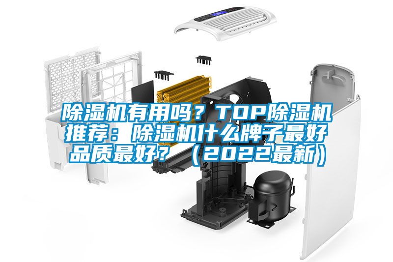 除濕機(jī)有用嗎？TOP除濕機(jī)推薦：除濕機(jī)什么牌子最好品質(zhì)最好？（2022最新）