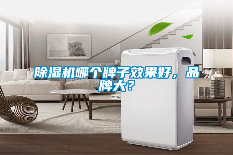 除濕機哪個牌子效果好，品牌大？