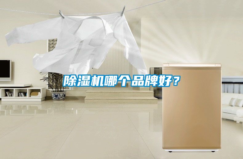 除濕機(jī)哪個(gè)品牌好？