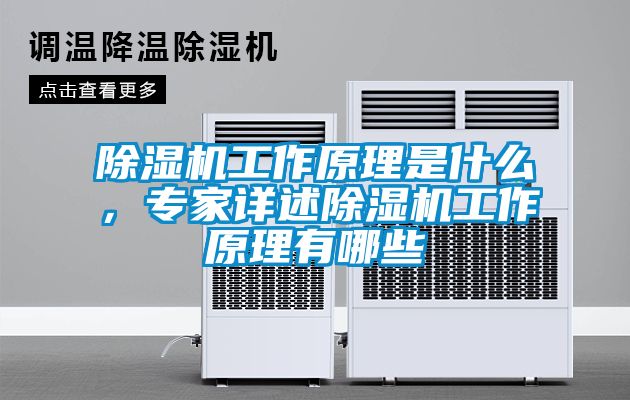 除濕機工作原理是什么，專家詳述除濕機工作原理有哪些