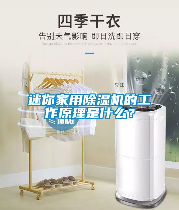 迷你家用除濕機的工作原理是什么？