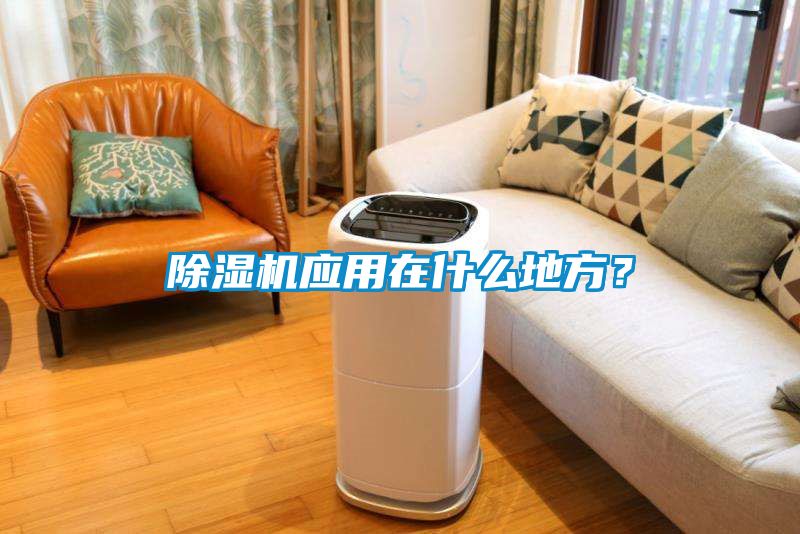 除濕機(jī)應(yīng)用在什么地方？