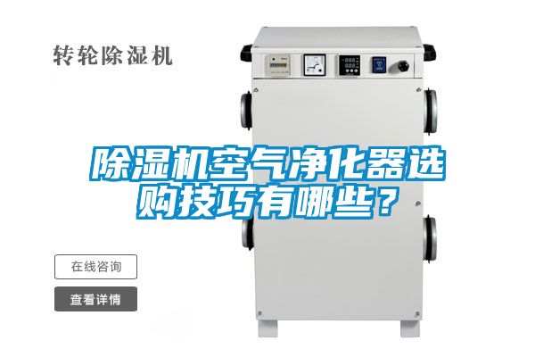 除濕機(jī)空氣凈化器選購技巧有哪些？