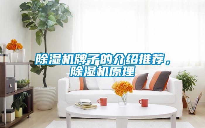 除濕機牌子的介紹推薦，除濕機原理