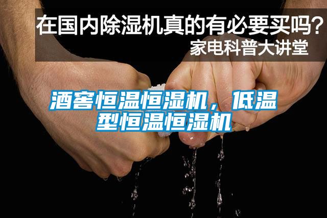 酒窖恒溫恒濕機(jī)，低溫型恒溫恒濕機(jī)