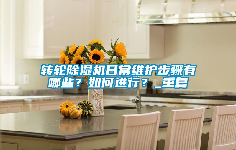 轉輪除濕機日常維護步驟有哪些？如何進行？_重復