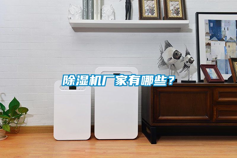 除濕機(jī)廠家有哪些？