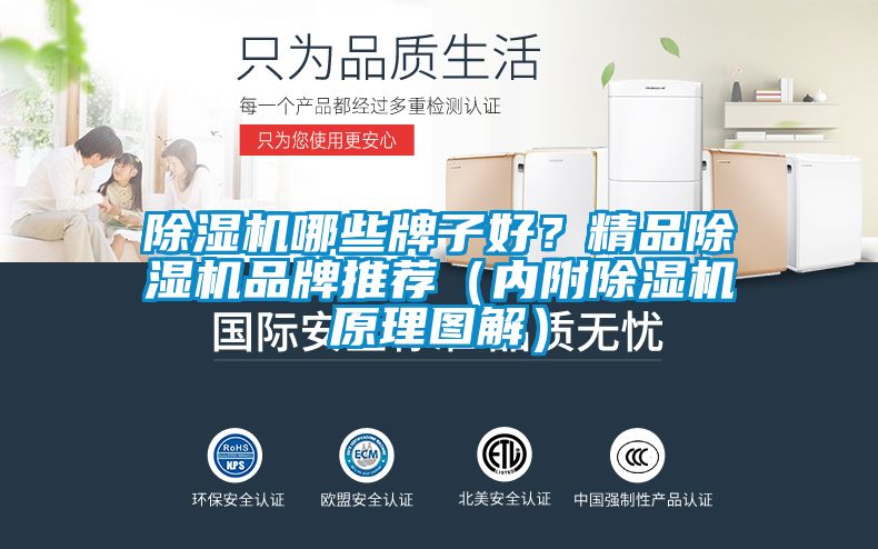 除濕機(jī)哪些牌子好？精品除濕機(jī)品牌推薦（內(nèi)附除濕機(jī)原理圖解）