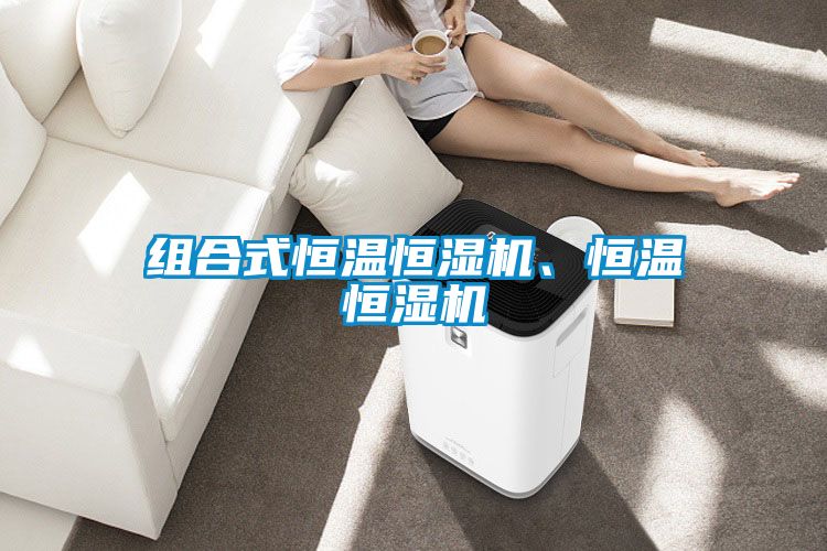 組合式恒溫恒濕機(jī)、恒溫恒濕機(jī)