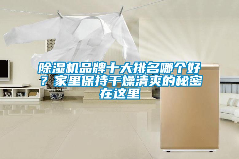 除濕機品牌十大排名哪個好？家里保持干燥清爽的秘密在這里