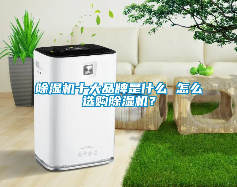 除濕機十大品牌是什么 怎么選購除濕機？