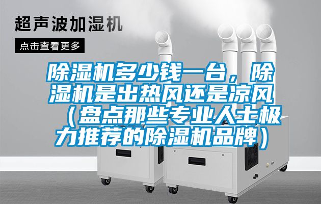 除濕機(jī)多少錢(qián)一臺(tái)，除濕機(jī)是出熱風(fēng)還是涼風(fēng)（盤(pán)點(diǎn)那些專業(yè)人士極力推薦的除濕機(jī)品牌）
