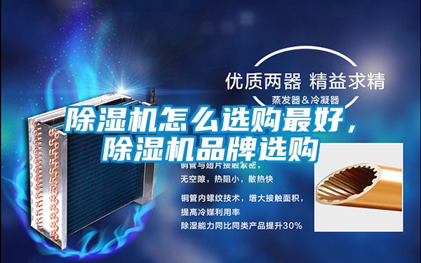 除濕機(jī)怎么選購最好，除濕機(jī)品牌選購