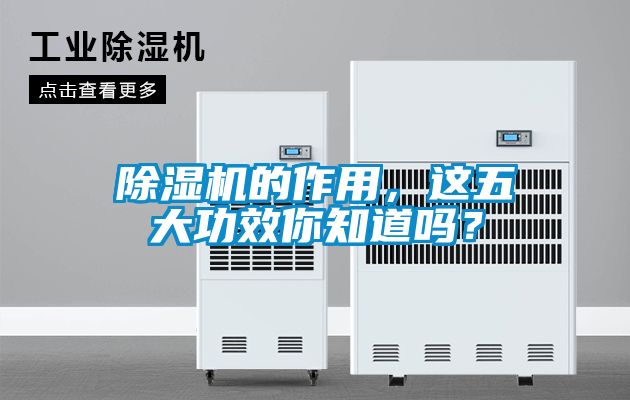 除濕機(jī)的作用，這五大功效你知道嗎？