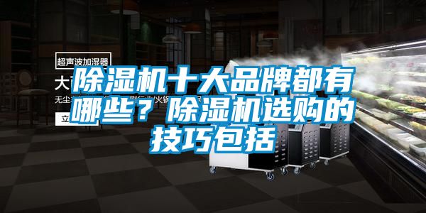 除濕機(jī)十大品牌都有哪些？除濕機(jī)選購的技巧包括