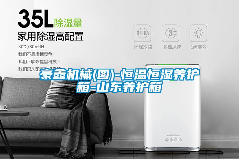 豪鑫機(jī)械(圖)-恒溫恒濕養(yǎng)護(hù)箱-山東養(yǎng)護(hù)箱