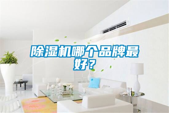 除濕機哪個品牌最好？