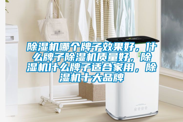 除濕機哪個牌子效果好，什么牌子除濕機質量好，除濕機什么牌子適合家用，除濕機十大品牌