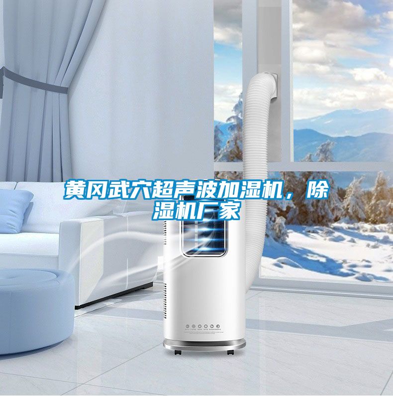 黃岡武穴超聲波加濕機，除濕機廠家