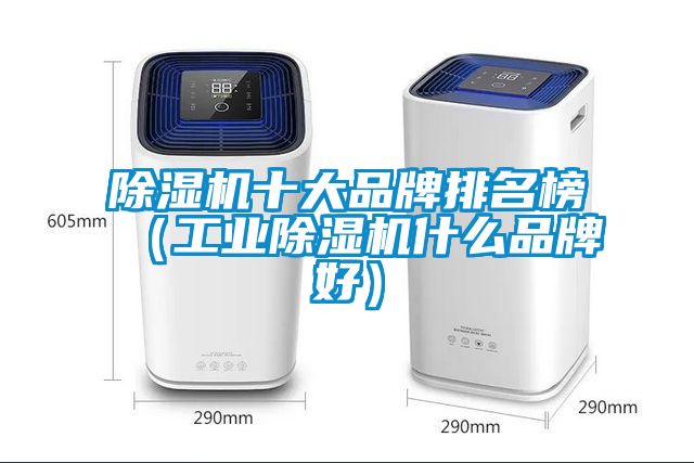 除濕機十大品牌排名榜（工業(yè)除濕機什么品牌好）