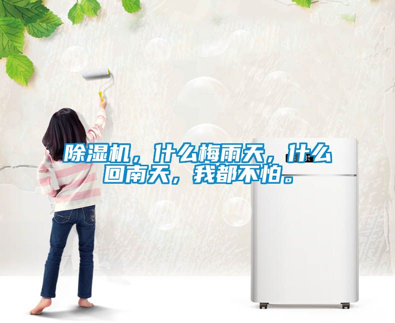 除濕機，什么梅雨天，什么回南天，我都不怕。
