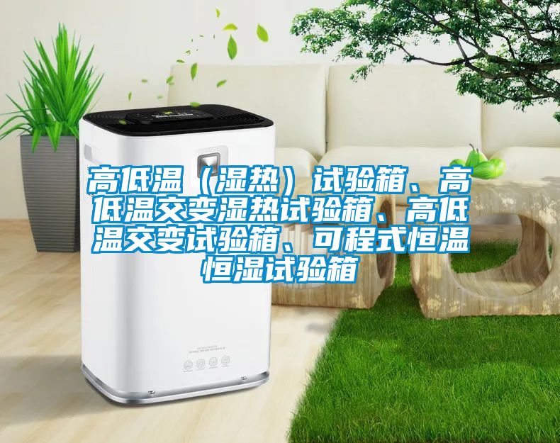 高低溫（濕熱）試驗(yàn)箱、高低溫交變濕熱試驗(yàn)箱、高低溫交變?cè)囼?yàn)箱、可程式恒溫恒濕試驗(yàn)箱