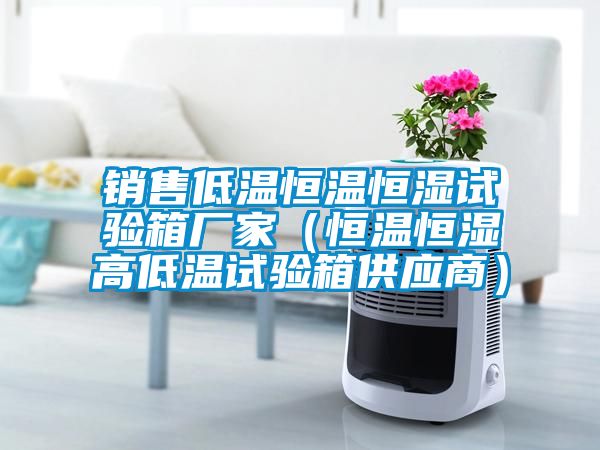 銷售低溫恒溫恒濕試驗箱廠家（恒溫恒濕高低溫試驗箱供應(yīng)商）