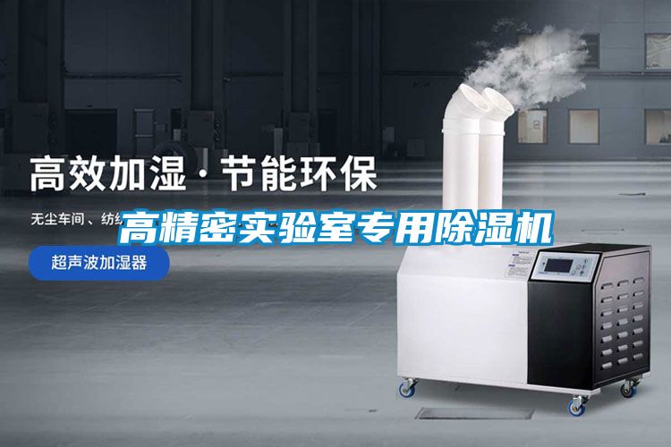 高精密實(shí)驗(yàn)室專(zhuān)用除濕機(jī)