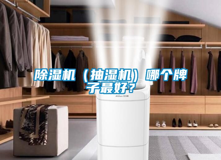 除濕機(jī)（抽濕機(jī)）哪個(gè)牌子最好？