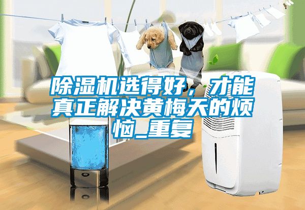 除濕機(jī)選得好，才能真正解決黃梅天的煩惱_重復(fù)
